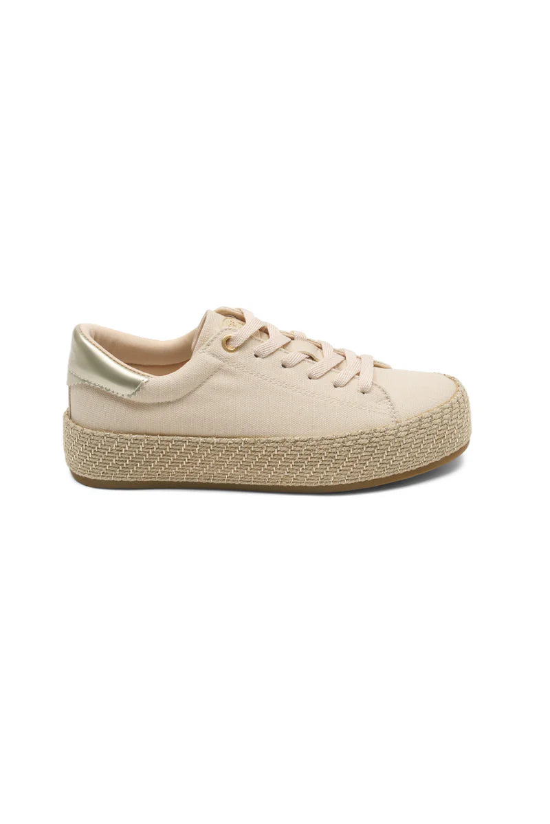 Basket Najema Sable