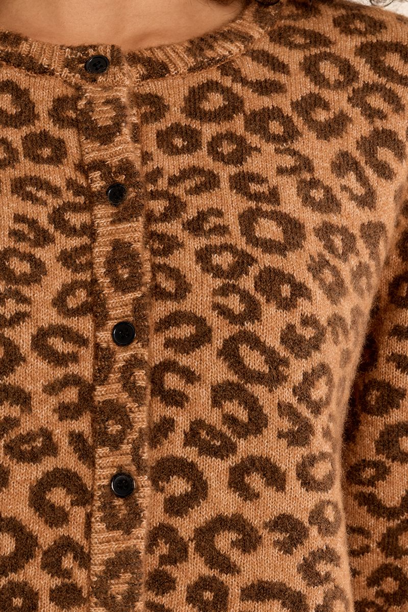 Cardigan boutonné léopard Camel Molly Bracken – vue 2